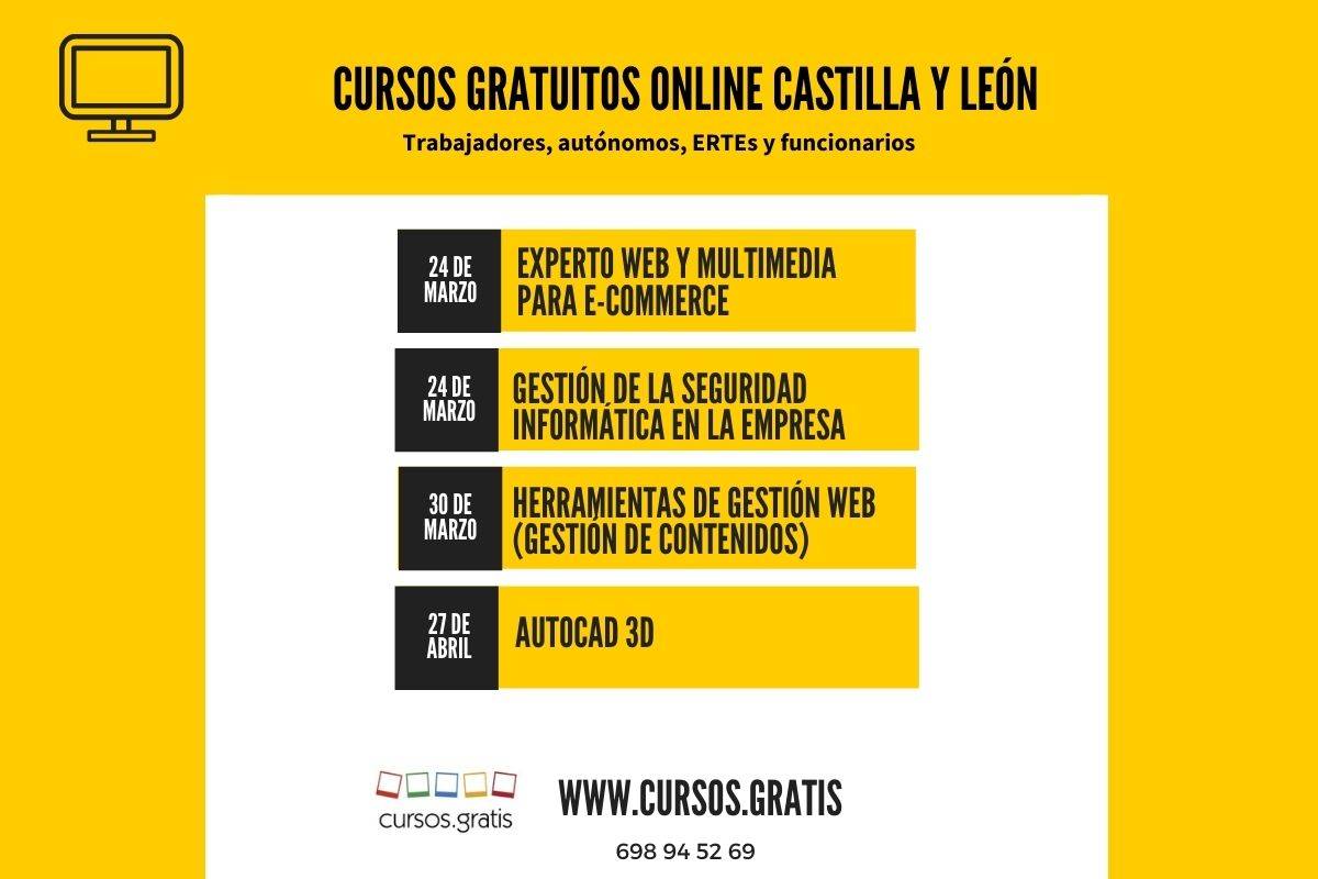 cursos ocupados castilla y leon