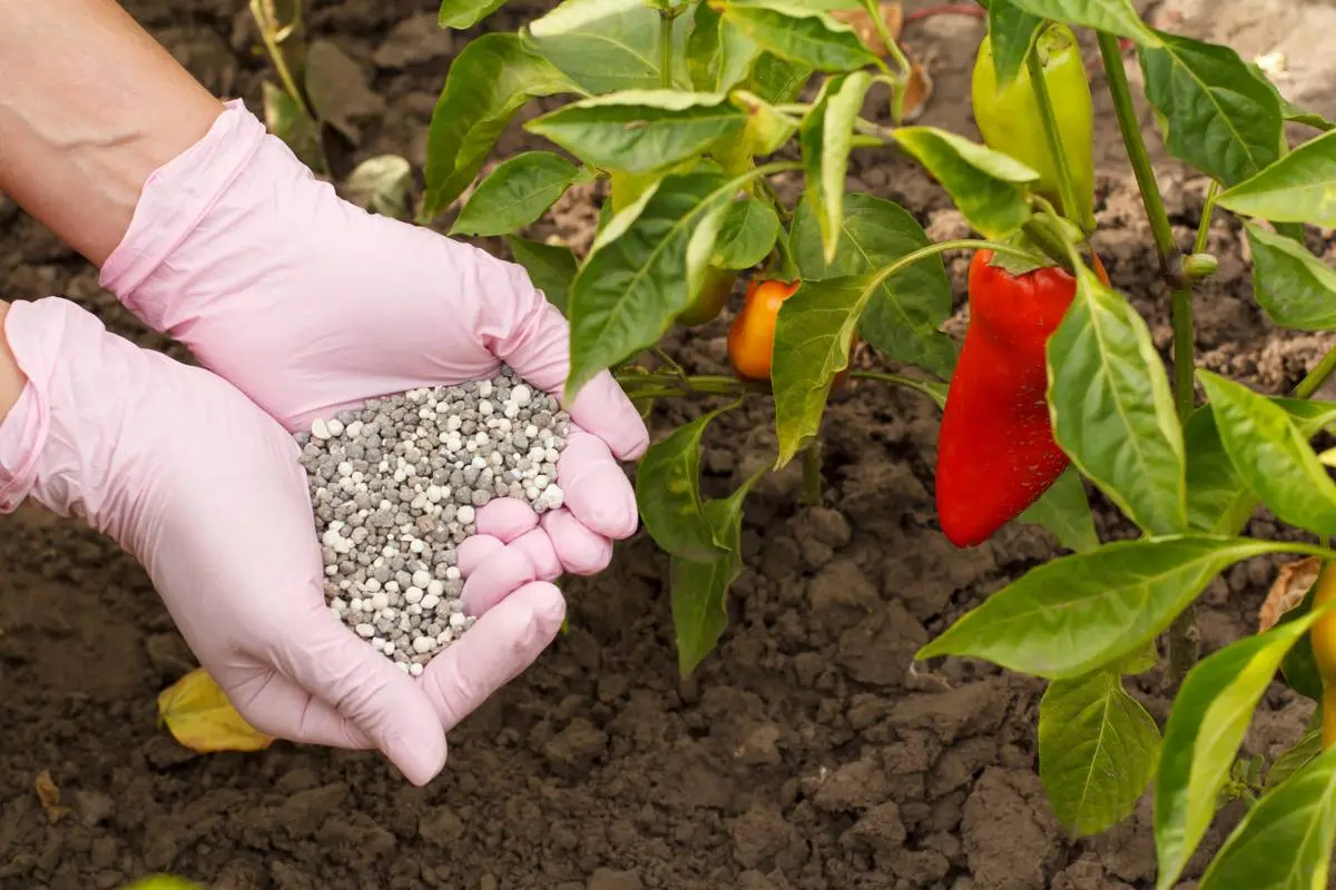 Curso de Abonado y fertilización en agricultura ecológica