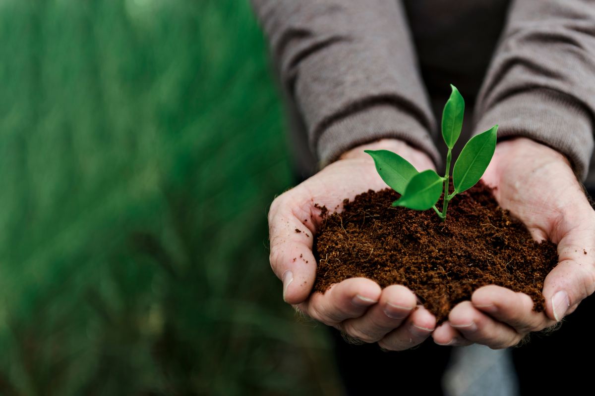 Curso de Prácticas y métodos de producción ecológica, integrada y biodinámica