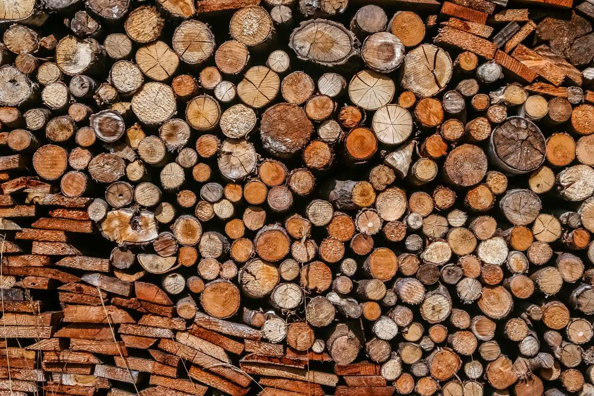 Curso de Biomasa forestal