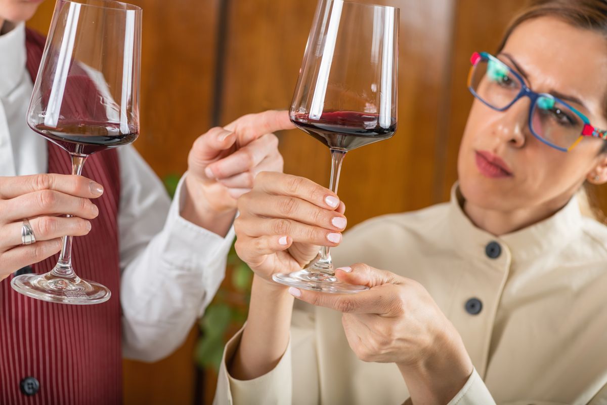Curso gratis trabajadores CATA DE VINOS