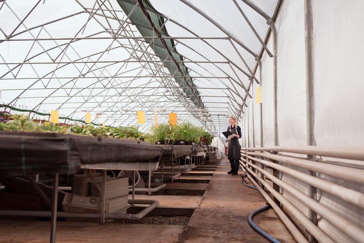 Curso gratis trabajadores CULTIVO EN INVERNADEROS