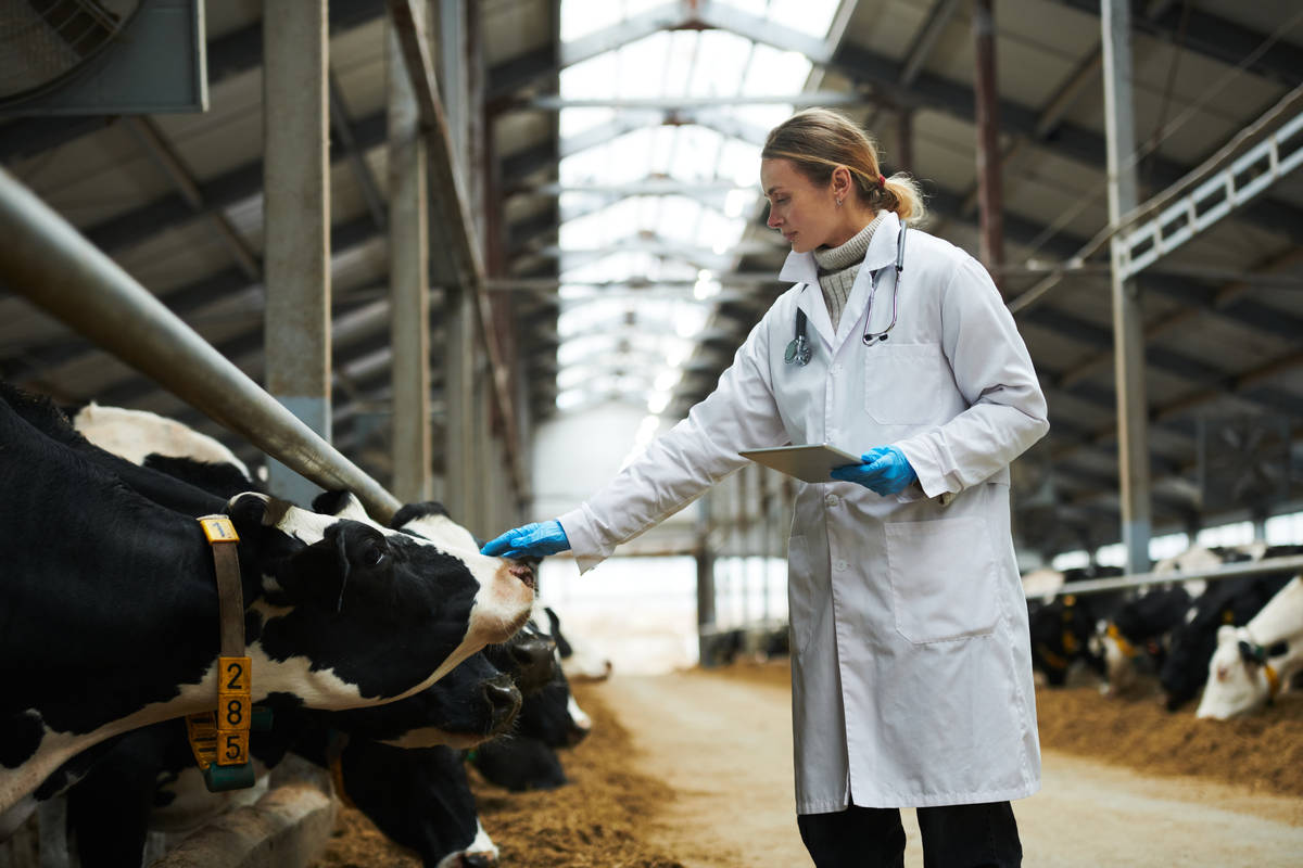 Curso de Registros de productos de veterinaria