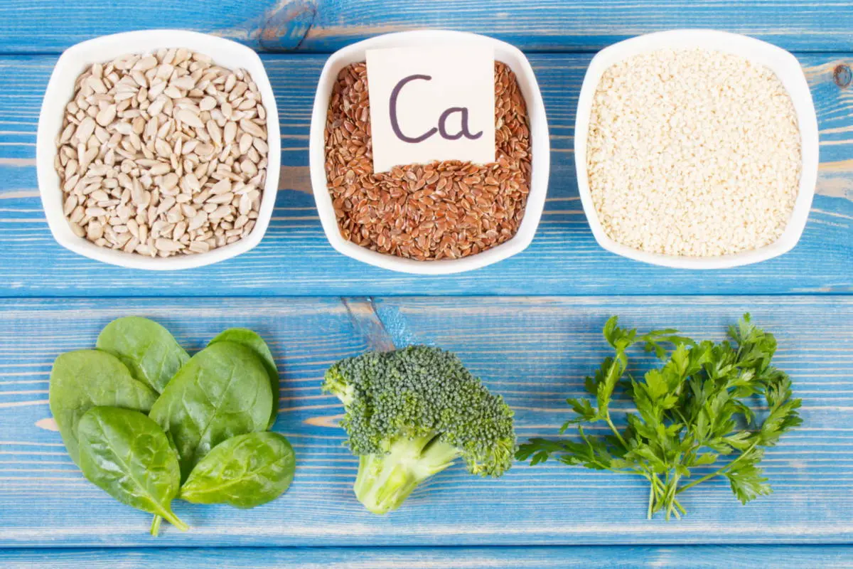Curso de Nutrición y dietética