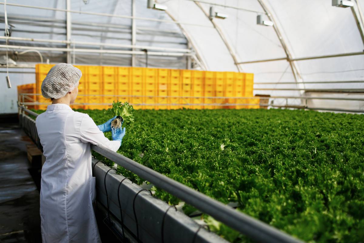 Curso de Sistemas de calidad en industria alimentaria