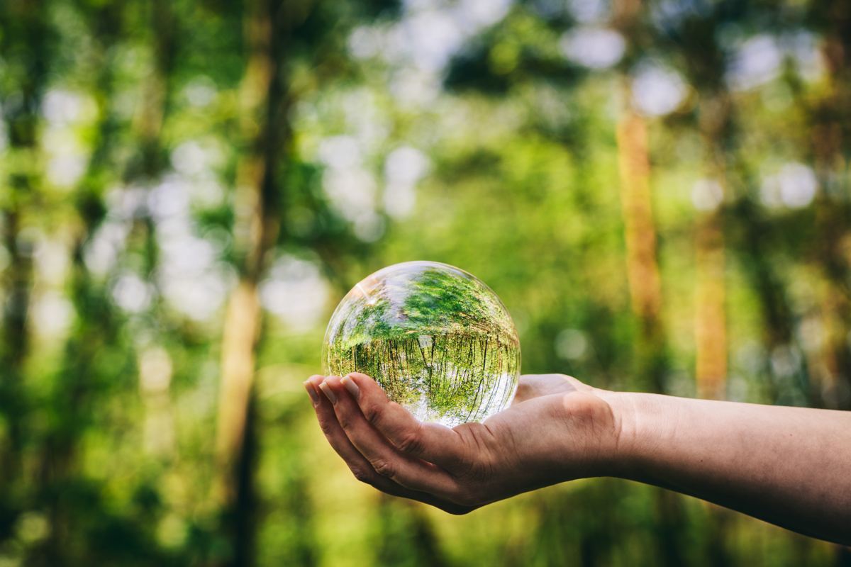 Curso gratuito desempleados EDUCACIÓN AMBIENTAL