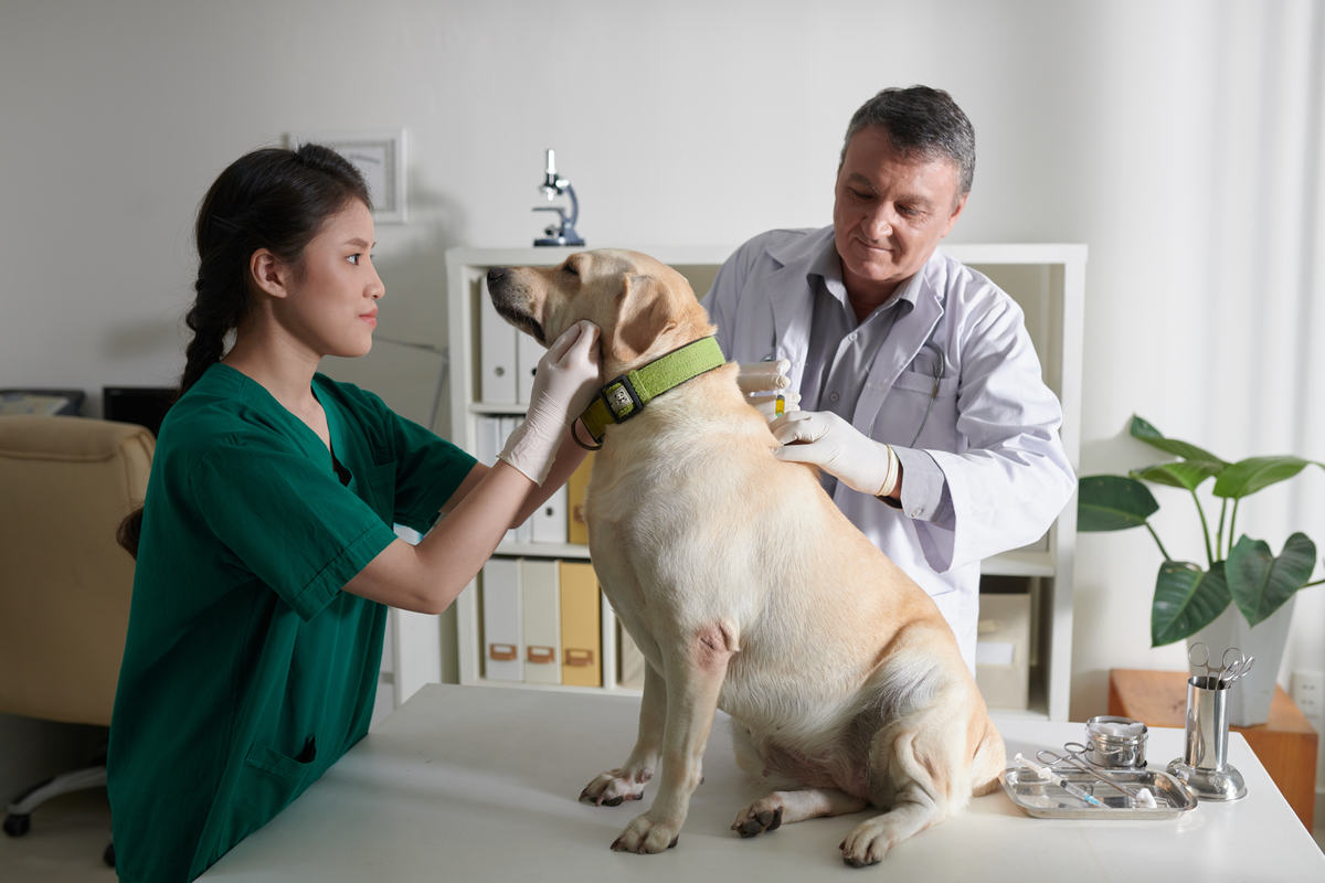 Curso de Farmacovigilancia veterinaria